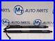 Bmw_3_Series_Automatic_Tailgate_Strut_Pair_7298983_7298984_F34_01_qwj