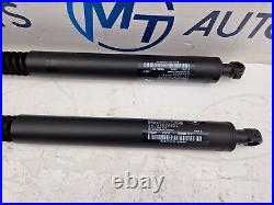 Bmw 3 Series Automatic Tailgate Strut Pair 7298983 7298984 F34