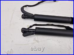 Bmw 3 Series Automatic Tailgate Strut Pair 7298983 7298984 F34