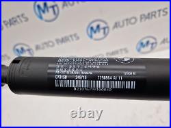 Bmw 3 Series Automatic Tailgate Strut Pair 7298983 7298984 F34