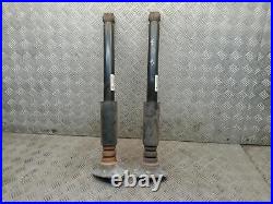 Bmw X2 Shock Absorber Pair Rear 2.0 D Xdrive 18d M Sport 6888464 F39 2017 2023