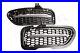 Genuine_BMW_Z4_E89_2009_2016_Roadster_Front_Grilles_With_Chrome_Strips_PAIR_01_rick