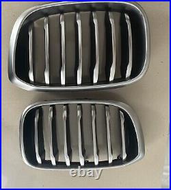 Genuine Pair BMW X3/X4 G01 G02 Kidney Grill CERIUM GREY MATTE