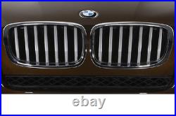 New Genuine BMW X6 E71 TITAN-Line Front Grill Set Pair Left+Right OEM