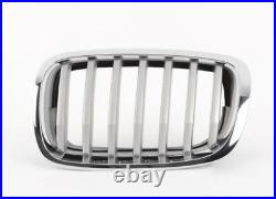 New Genuine BMW X6 E71 TITAN-Line Front Grill Set Pair Left+Right OEM