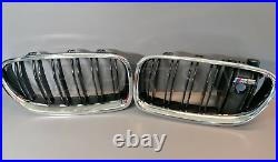 New Genuine Bmw 5 Series F10 M Sport Bumper Grille Front Pair 8057224 & 8057229