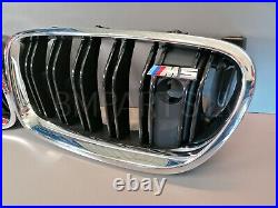 New Genuine Bmw 5 Series F10 M Sport Bumper Grille Front Pair 8057224 & 8057229