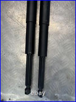 Oem Bmw 5-series G31 16-19 Tailgate Lift Cylinders Spindle Drive Pair / 7390410